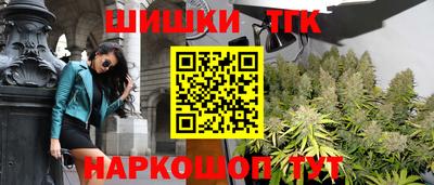 крисы Лесосибирск