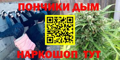 крисы Лесосибирск